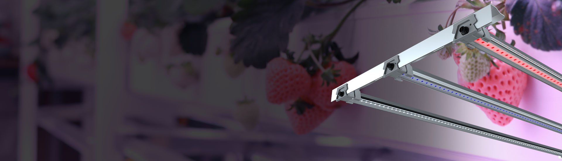 grow light for grow rack banner